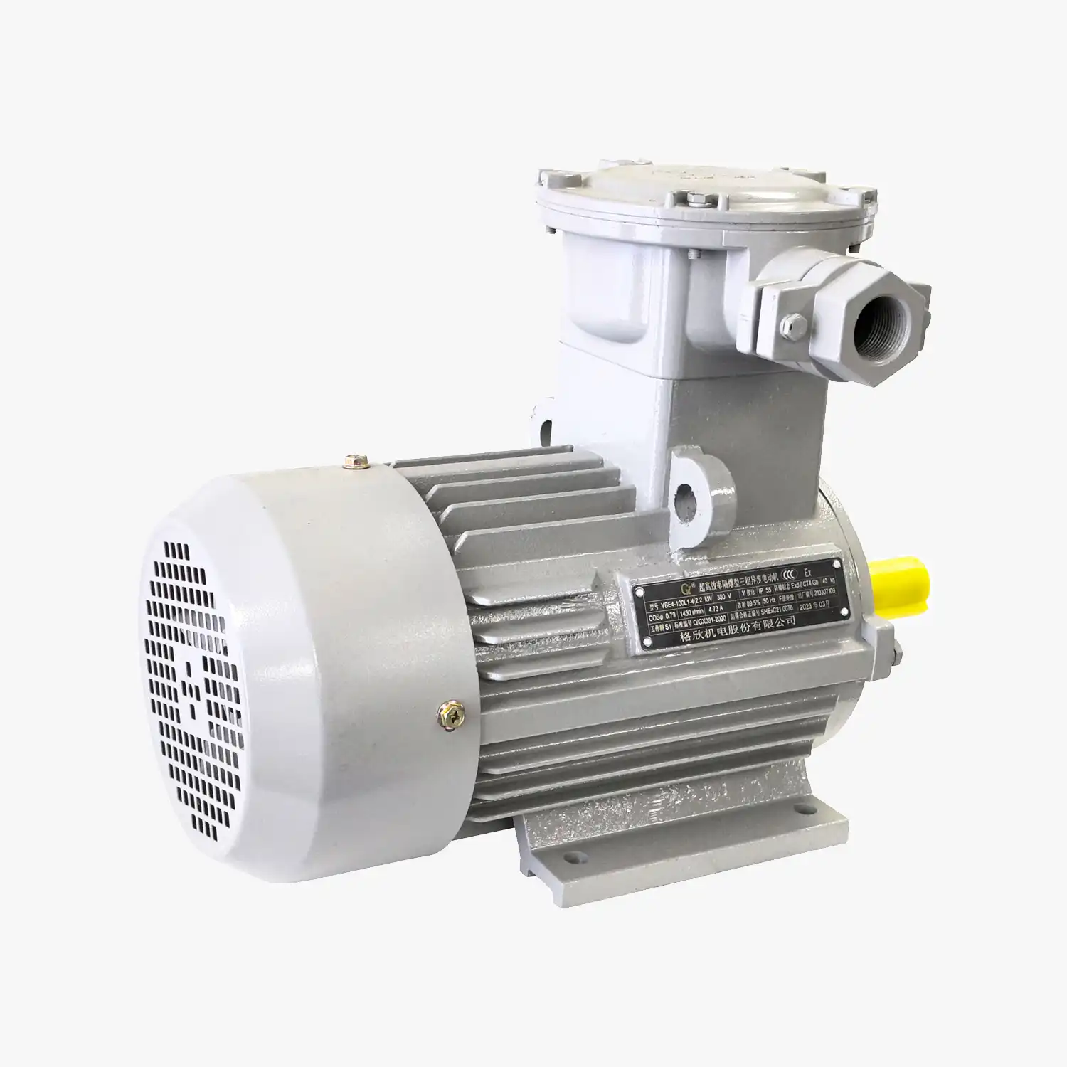YBE4 Series Motor-4