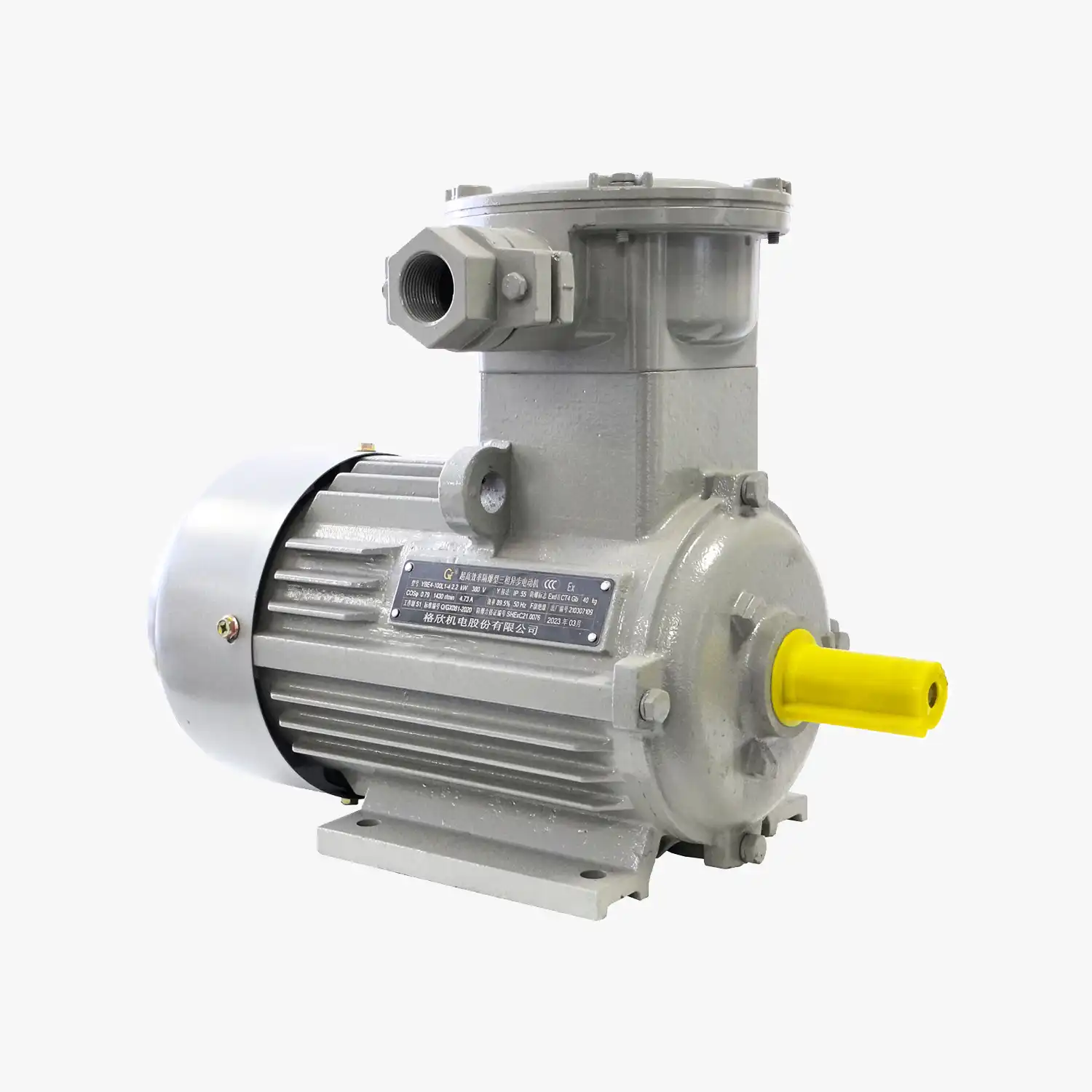 YBE4 Series Motor-6
