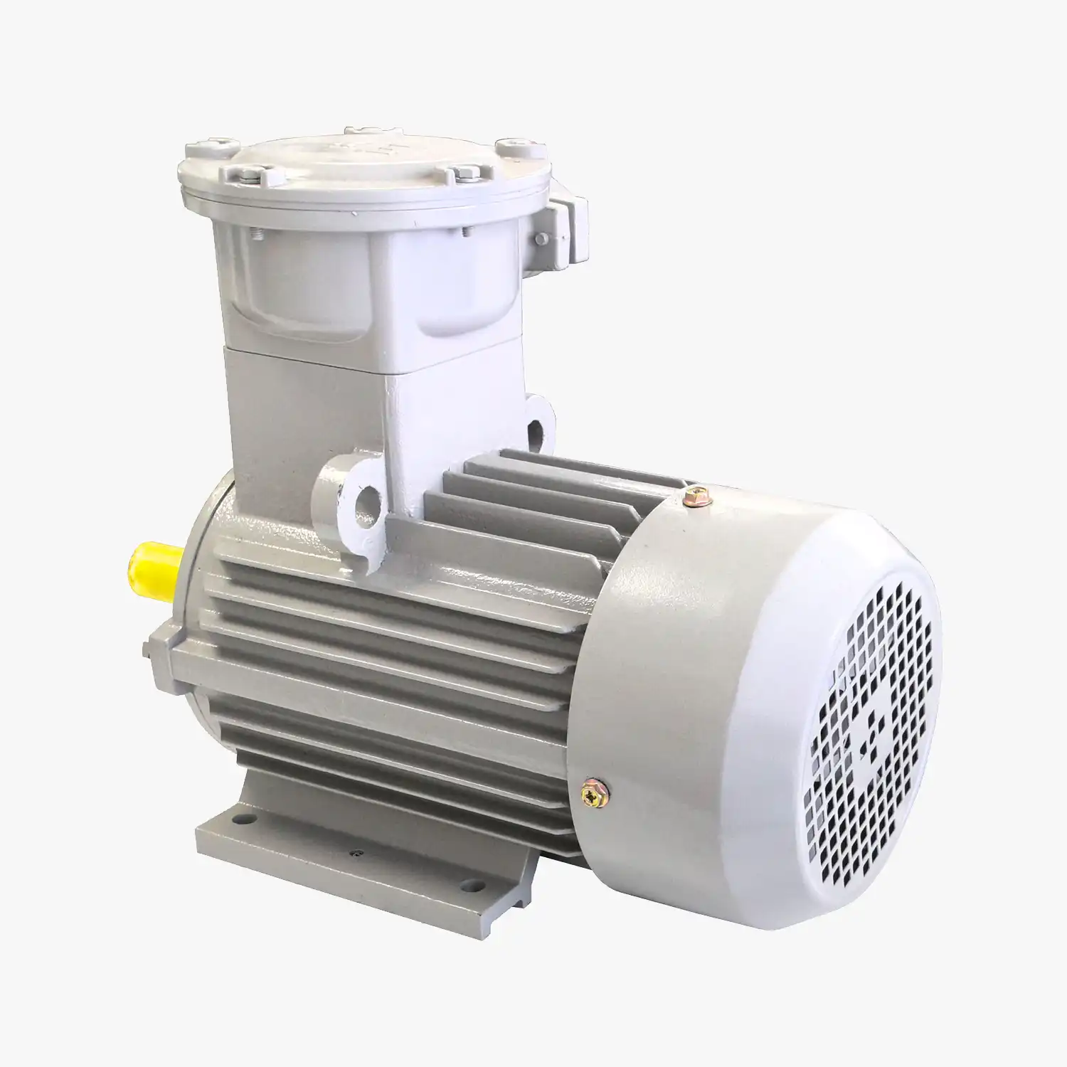 YBE4 Series Motor-7