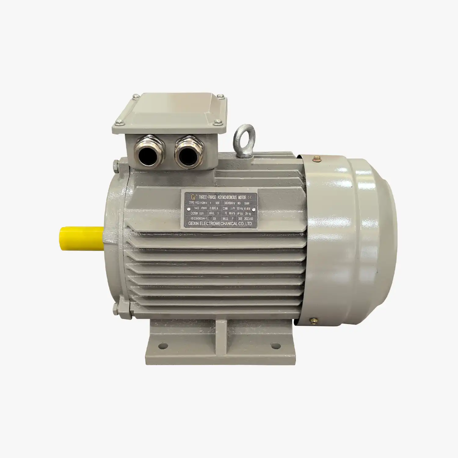 YE1-112M-4 (1)