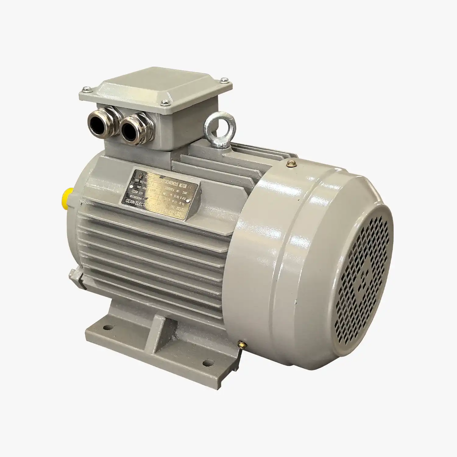 YE1-112M-4 (3)